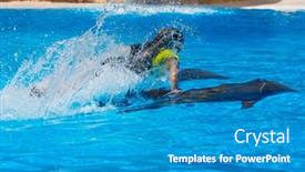  Presentation with photo show - Beautiful PPT theme featuring photo-of-dolphins-doing backdrop and a teal colored foreground
