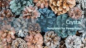  Presentation with skin color natural lavender lemon - Slide set featuring photo of dried pine cones background and a ocean colored foreground