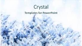  Presentation with winter border - Theme with photo of fir branch covered white snow on blue sky background rime on pine tree border winter floral backdrop new year greeting card copy space snowy forest wintertime holidays greeting card background and a sky blue colored foreground