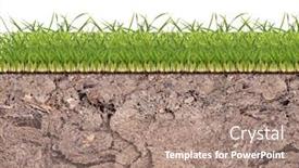  Presentation with green gram - Slide set featuring blue whale with cargo ship in the background near mirrisa sri lanka background and a light gray colored foreground
