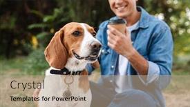  Presentation with dog park - Beautiful PPT theme featuring photo-of-happy-young-man backdrop and a coral colored foreground