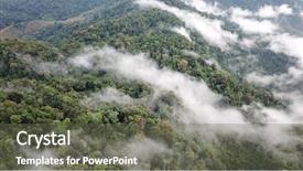  Presentation with rain clouds - Audience pleasing PPT theme consisting of photo of rain forest hillside backdrop and a gray colored foreground