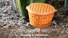  Presentation with soil fertilizer - Presentation theme consisting of photo of slow release fertilizer background and a violet colored foreground