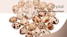  Presentation with quail - Audience pleasing slide deck consisting of photo of the quail egg isolated on white backdrop and a lemonade colored foreground