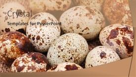  Presentation with rough - PPT layouts consisting of photo of the quail egg on rough sackcloth background and a coral colored foreground