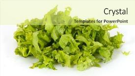  Presentation with lettuce - Slide deck consisting of photo of wet lettuce shred background and a blonde colored foreground