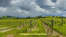  Presentation with new zealand - Beautiful theme featuring photo-of-winery-from-south backdrop and a tawny brown colored foreground