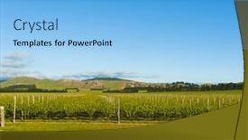  Presentation with new zealand - Presentation theme featuring photo-of-winery-from-south background and a light blue colored foreground