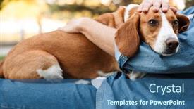  Presentation with man sitting bench - PPT theme having photo-of-young-man background and a ocean colored foreground