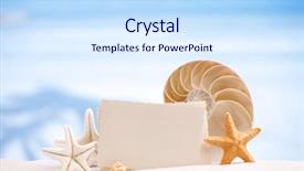 Presentation with white sand - Audience pleasing PPT theme consisting of photo on white sand beach backdrop and a sky blue colored foreground