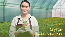  Presentation with photo collage - PPT theme with photo-realistic-digital-collage background and a tawny brown colored foreground