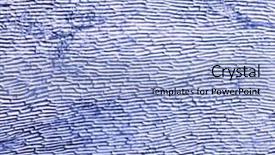  Presentation with appearance - Slides featuring photograph of the cells background and a light blue colored foreground