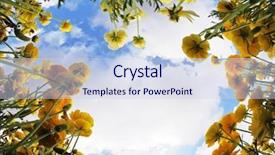  Presentation with yellow orange - PPT theme consisting of photographed by an objective fish background and a sky blue colored foreground