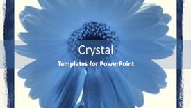  Presentation with reproduction - Cool new presentation with photographic-reproduction-cyanotype-delft-blue backdrop and a teal colored foreground