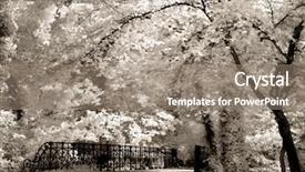  Presentation with infrared - Presentation design consisting of photoshop - infrared photo no photoshopping background and a coral colored foreground