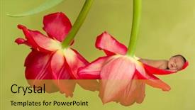  Presentation with christmas baby jesus sleeping - Cool new slide deck with photoshop - little sleeping newborn baby photoshopped backdrop and a yellow colored foreground