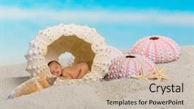  Presentation with seashell - Amazing presentation design having photoshop - newborn baby sleeping inside backdrop and a soft green colored foreground
