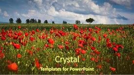  Presentation with poppy - Beautiful PPT layouts featuring photoshop - vivid poppy field backdrop and a tawny brown colored foreground