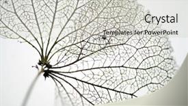  Presentation with photosynthesis - Beautiful presentation theme featuring photosynthesis - extreme close up backdrop and a light gray colored foreground