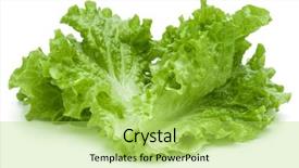  Presentation with lettuce - Audience pleasing slide set consisting of photosynthesis - fresh green lettuce salad leaves backdrop and a yellow colored foreground