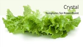  Presentation with lettuce - Theme having photosynthesis - fresh green lettuce salad leaves background and a soft green colored foreground