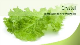  Presentation with lettuce - Colorful theme enhanced with photosynthesis - fresh green lettuce salad leaves backdrop and a soft green colored foreground