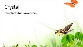  Presentation with scenery - Slides consisting of photosynthesis - nature scenery background and a white colored foreground