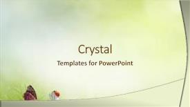  Presentation with photosynthesis - Beautiful PPT theme featuring photosynthesis - spring background with flowers backdrop and a cream colored foreground