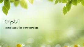  Presentation with photosynthesis - Slide set consisting of photosynthesis - spring or summer season abstract background and a soft green colored foreground