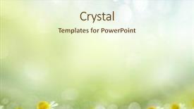  Presentation with photosynthesis - Slide deck with photosynthesis - spring or summer season abstract background and a cream colored foreground