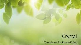  Presentation with photosynthesis - Presentation theme having photosynthesis - spring or summer season abstract background and a mint green colored foreground