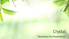  Presentation with photosynthesis - Beautiful slide set featuring photosynthesis - spring or summer season abstract backdrop and a soft green colored foreground