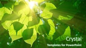  Presentation with photosynthesis - Amazing slides having photosynthesis - sun in the forest backdrop and a forest green colored foreground