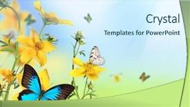  Presentation with butterflies - Theme having free biology - spring flowers with butterflies background and a sky blue colored foreground