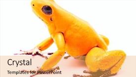  Presentation with poison - PPT layouts featuring phyllobates terribilis a toxic dangerous background and a yellow colored foreground