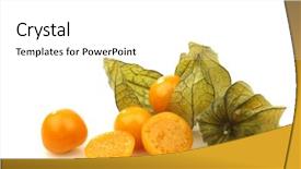  Presentation with cut - PPT theme with physalis fruit physalis peruviana and some cut ones on a white background background and a white colored foreground