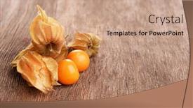  Presentation with fruits - Presentation enhanced with physalis-fruits-on-wooden-background background and a coral colored foreground