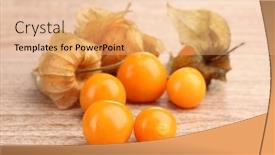  Presentation with wooden - Cool new presentation theme with physalis-heap-on-wooden-background backdrop and a coral colored foreground