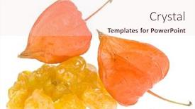  Presentation with white dove clouds - Slides featuring physalis-on-white-background background and a lemonade colored foreground