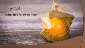 Presentation with gooseberry - Presentation theme enhanced with physalis-or-cape-gooseberry-fruit background and a light gray colored foreground