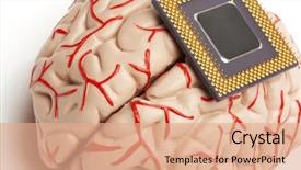  Presentation with human brain - Slides consisting of physiology - brain model and processor human background and a coral colored foreground