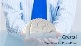  Presentation with human brain - Amazing theme having physiology - hands of man holding backdrop and a light blue colored foreground