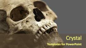  Presentation with bone anatomy - Audience pleasing slides consisting of physiology - human anatomy - ancient people backdrop and a tawny brown colored foreground