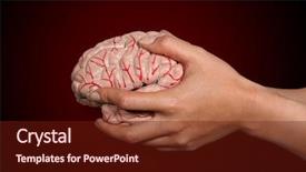  Presentation with neurosurgery brain - Beautiful presentation theme featuring physiology - woman giving a brain backdrop and a tawny brown colored foreground