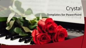  Presentation with electronic music - Audience pleasing slides consisting of electronic award - red roses on piano keys backdrop and a light gray colored foreground
