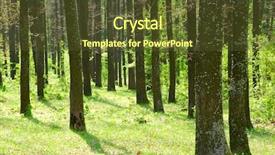  Presentation with murder forest - Beautiful presentation design featuring pic nic - inside forest shot backdrop and a  colored foreground