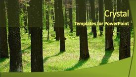  Presentation with forest marsh - Presentation theme with pic nic - inside forest shot background and a  colored foreground