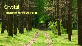 Presentation with forest - Slides featuring pic nic - inside forest shot background and a tawny brown colored foreground