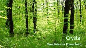  Presentation with deep - Presentation theme having pic nic - inside of deep spring forest background and a forest green colored foreground