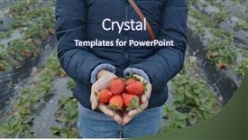  Presentation with farm machinery - Presentation consisting of pick up cross - woman hold strawberry background and a ocean colored foreground